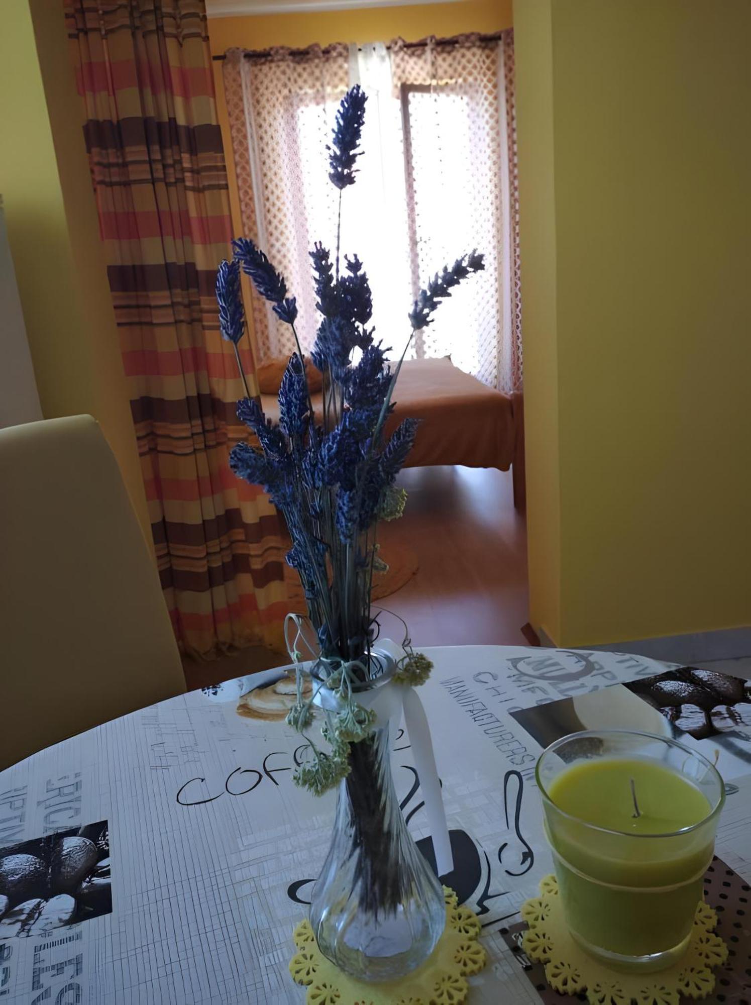 Cozy Apartments Danica Novalja With Terrace - First Floor Екстер'єр фото