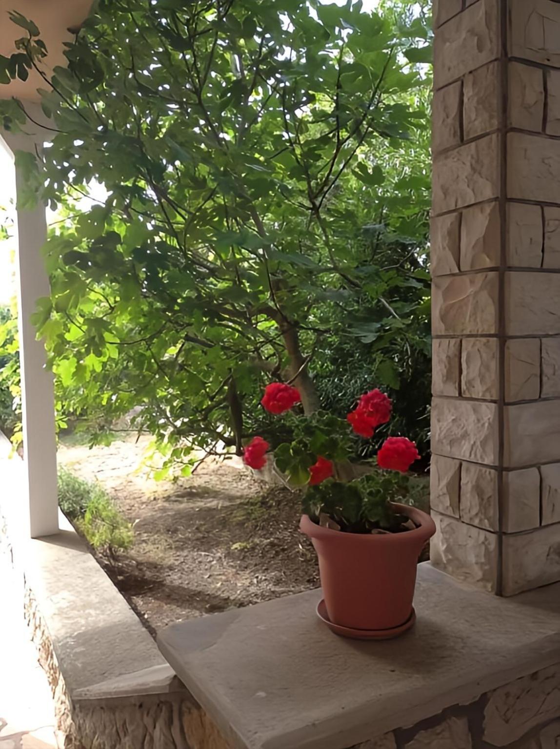 Cozy Apartments Danica Novalja With Terrace - First Floor Екстер'єр фото